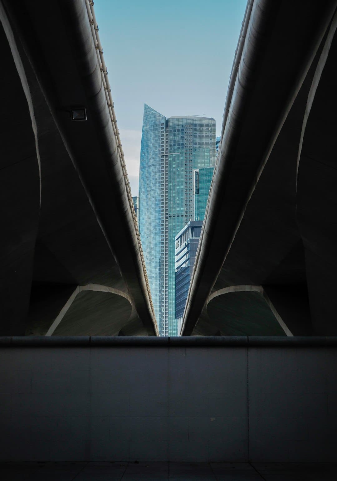 留念抗战成功展示和平力量，上合天津峰会促进国际联合，我国两场严重活动招引国际目光